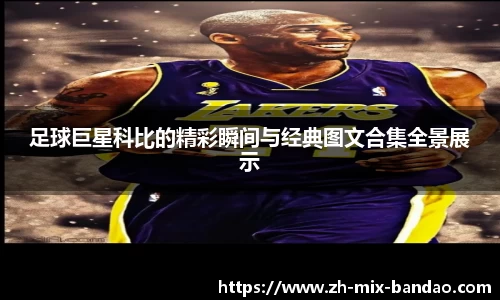 半岛体育全站入口