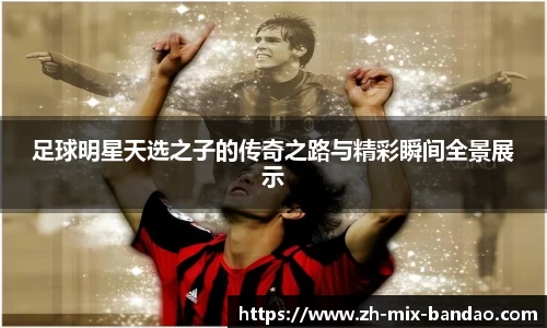 半岛体育APP下载